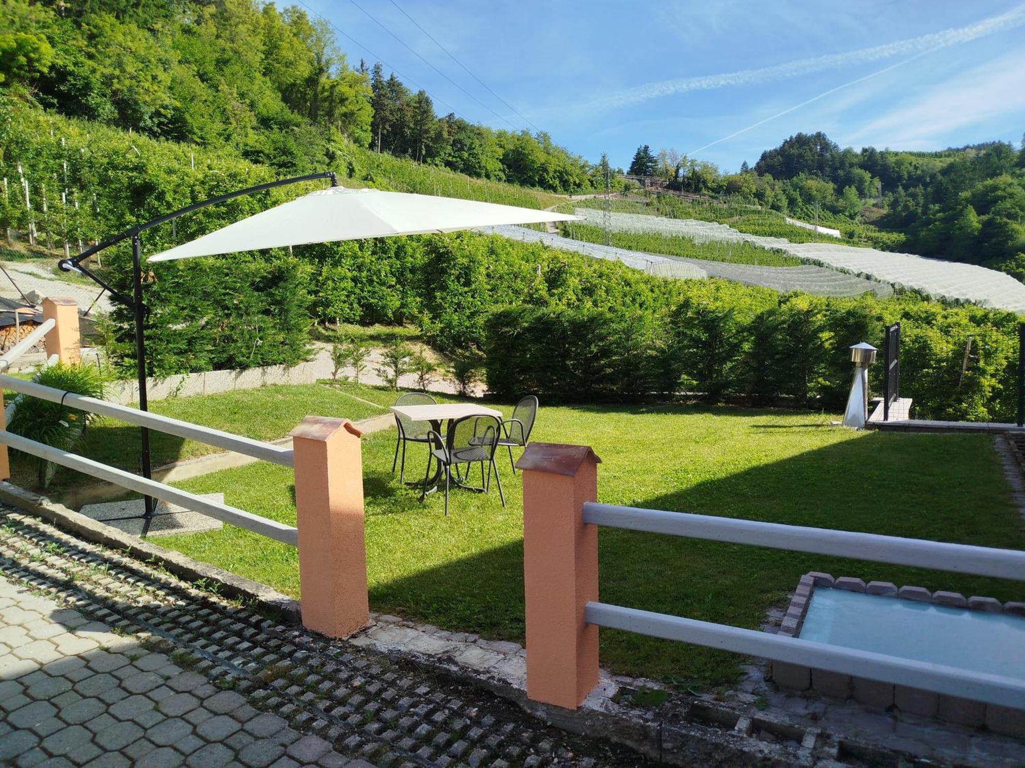 Agritur Casa Al Mulino Appartamenti Sanzeno Exterior foto